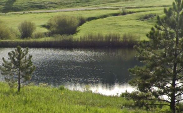 South Evergreen Water District Pond